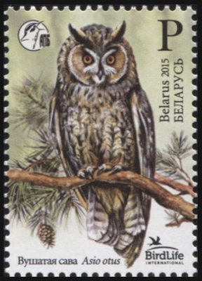 Беларусь. 2015. Ушастая сова (Почтовая марка. MNH OG)