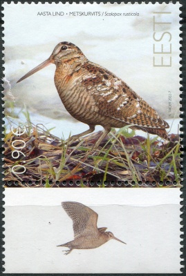 Эстония. 2022. Вальдшнеп (Scolopax rusticola) (I) (Почтовая марка. MNH OG)