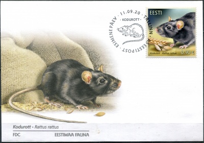Эстония. 2020. Чёрная крыса (Rattus rattus) (Конверт Первого Дня. Mint)