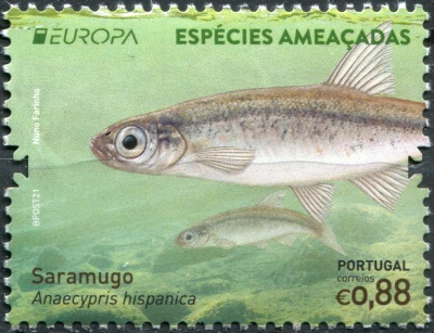 Португалия. 2021. Испанский гольян (Anaecypris hispanica) (Почтовая марка. MNH OG)