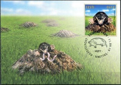 Эстония. 2019. Европейский крот (Talpa europaea) (Картмаксимум. Mint)