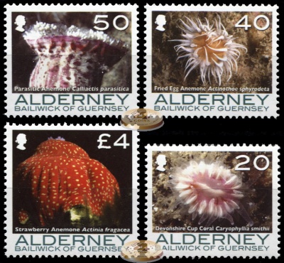 Олдерни. 2007. Кораллы и Анемоны II (Серия. MNH OG)