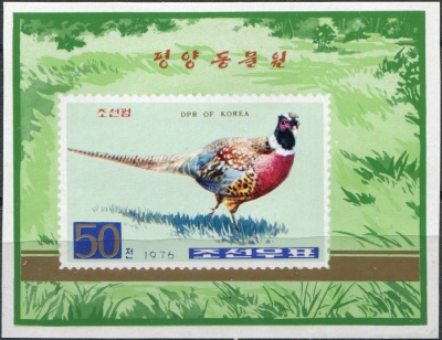 КНДР. 1976. Обыкновенный фазан (Phasianus colchicus) (Почтовый блок. MNH OG. Неперфорированная)