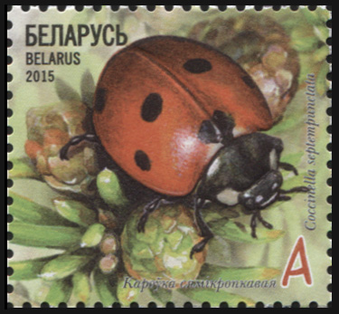 Беларусь. 2015. Коровка семиточечная (Почтовая марка. MNH OG)