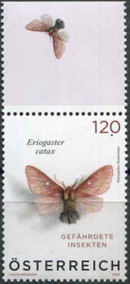 Австрия. 2023. Коконопряд золотистый (Eriogaster catax)(II) (Почтовая марка. MNH OG)