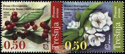 Босния и Герцеговина. 2012. Черешня [Prúnus avíum] (Сцепка. MNH OG)