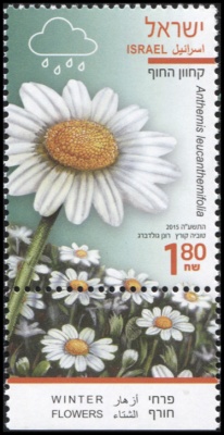 Израиль. 2015. Ромашка Ложная (Почтовая марка. MNH OG)