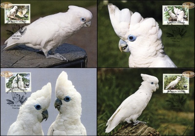 Соломоновы острова. 2013. Соломонский какаду [Cacatua ducorpsii] (Серия картмаксимумов. М)