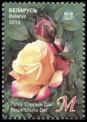 Беларусь. 2014. Роза "Глория Дей" (Почтовая марка. MNH OG)