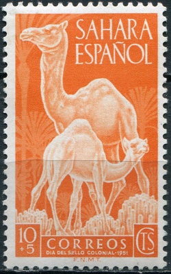 Испанская Сахара. 1951. Одногорбый верблюд (Camelus dromedarius) (Почтовая марка. MNH OG)