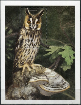 Танзания. 1999. Ушастая сова (Блок. MNH OG)