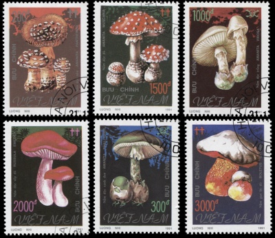 Вьетнам. 1991. Ядовитые грибы (Серия. CTO Гашеная)