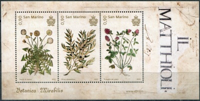 Сан-Марино. 2023. Чудесная ботаника (Почтовый блок. MNH OG)