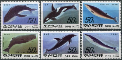 КНДР. 1992. Киты и дельфины (Серия Почтовых марок. MNH OG)