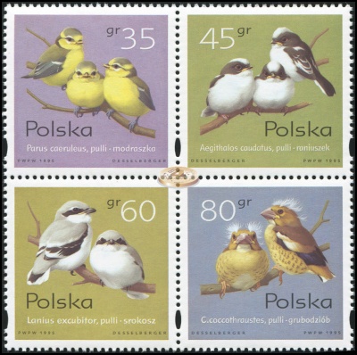 Польша. 1995. Птенцы певчих птиц (Квартблок. MNH OG)