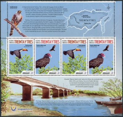 Уругвай. 2018. Гриф-индейка (Cathartes aura) (Сцепка с оформленными полями. MNH OG)