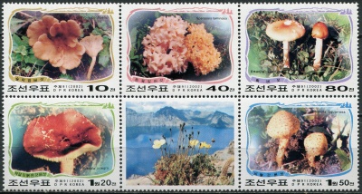 КНДР. 2002. Грибы в горах Пэктусан (Сцепка. MNH OG)