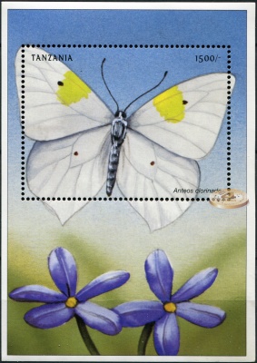 Танзания. 1999. Бабочка Anteos clorinade (Блок. MNH OG)