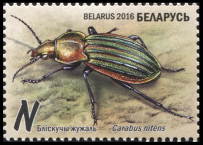 Беларусь. 2016. Блестящая жужелица (Почтовая марка. MNH OG)