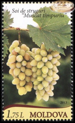 Молдова. 2013. Виноград "Мускат ранний" (Почтовая марка. MNH OG)