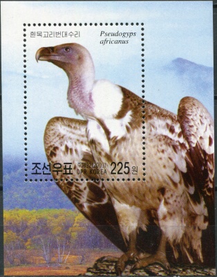КНДР. 2003. Африканский гриф (Pseudogyps africanus) (Блок. MNH OG)