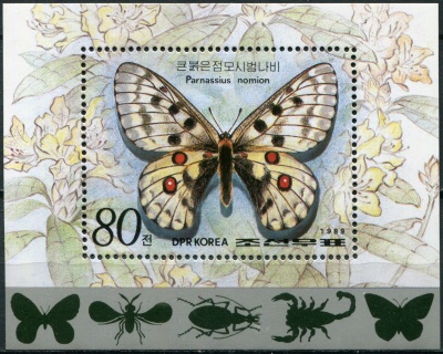 КНДР. 1989. Бабочка Номион парнасский (Parnassius nomion) (Почтовый блок. MNH OG)