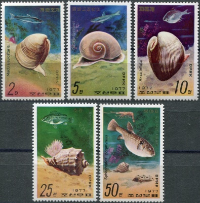 КНДР. 1977. Морские улитки и рыба (Серия Почтовых марок. MNH OG)
