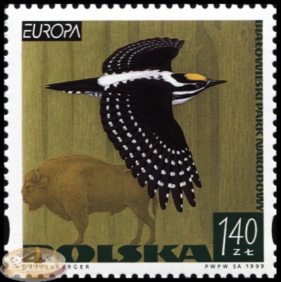 Польша. 1999. Беловежский национальный парк (Почтовая марка. MNH OG)