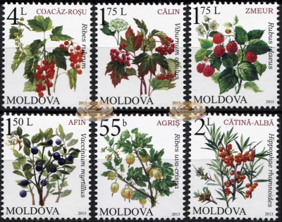 Молдова. 2013. Ягодные кустарники (Серия. MNH OG)