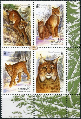 Беларусь. 2000. Европейская рысь (Квартблок. MNH OG)