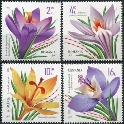 Румыния. 2022. Крокусы (Серия Почтовых марок. MNH OG)