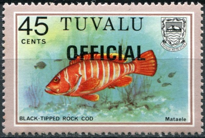 Тувалу. 1981. Полосатый групер-таувина (Почтовая марка. MNH OG)