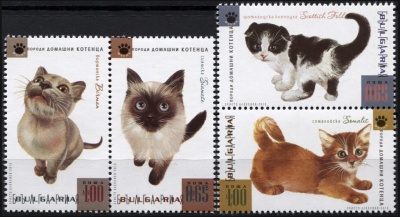 Болгария. 2013. Породы Домашних Кошек. Котята (Серия. MNH OG)