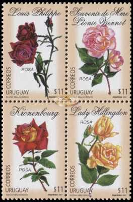 Уругвай. 2001. Розы (Серия. MNH OG)