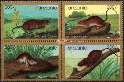 Танзания. 1996. Китайский календарь: Год Крысы (Квартблок. MNH OG)