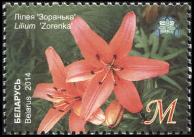 Беларусь. 2014. Лилия "Зоренька" (Почтовая марка. MNH OG)