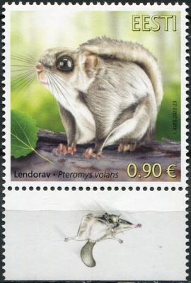 Эстония. 2022. Обыкновенная белка-летяга (Pteromys volans) (V) (Почтовая марка. MNH OG)