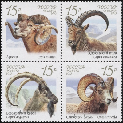 Россия. 2013. Фауна России. Дикие козлы и бараны (Серия. MNH OG)