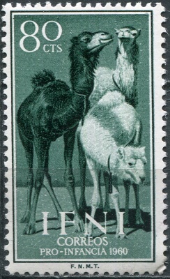 Ифни. 1960. Одногорбый верблюд (Camelus dromedarius) (Почтовая марка. MNH OG)