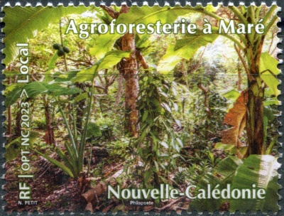 Новая Каледония. 2023. Агролесомелиорация в Маре (Почтовая марка. MNH OG)