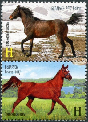 Беларусь. 2017. Лошади (Сцепка. MNH OG)