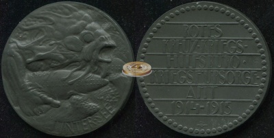 Австрия. Настольная медаль. 1915 (Unc)