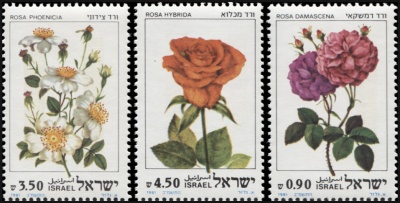 Израиль. 1981. Розы Израиля (Серия. MNH OG)