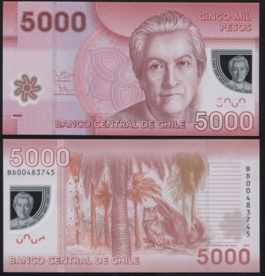 Чили. 5000 песо (Unc. Пластик) 2012
