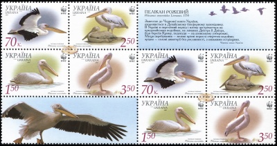 Украина. 2007. Розовый пеликан [Pelecanus onocrotalus] (Малый лист. MNH OG)