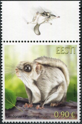 Эстония. 2022. Обыкновенная белка-летяга (Pteromys volans) (III) (Почтовая марка. MNH OG)