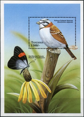 Танзания. 1999. Капская зонотрихия [Zonotrichia capensis] (Блок. MNH OG)