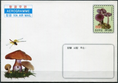 КНДР. 2008. Грибы (Аэрограмма. Mint)