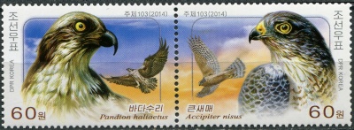 КНДР. 2014. Хищные птицы (II) (Сцепка. MNH OG)