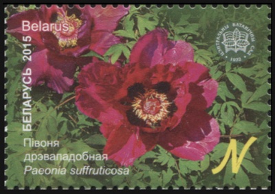 Беларусь. 2015. Пион древовидный (Почтовая марка. MNH OG)